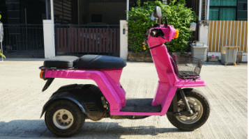 Grace and (Pink)&nbsp;Fury